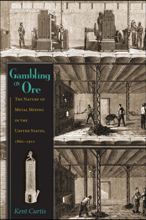 Cover image for book Gambling on Ore