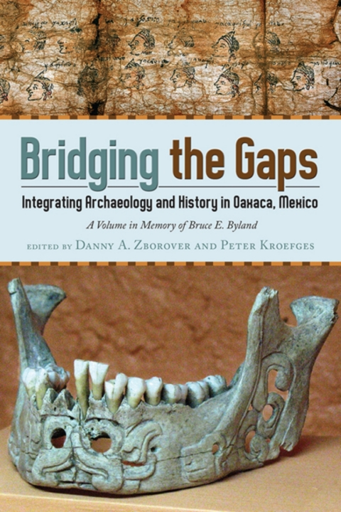 Cover image for book Bridging the Gaps