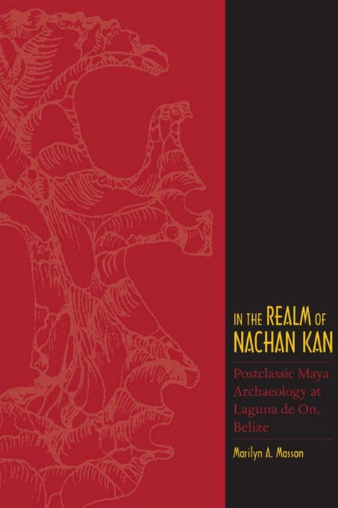 Cover image for book In the Realm of Nachan Kan