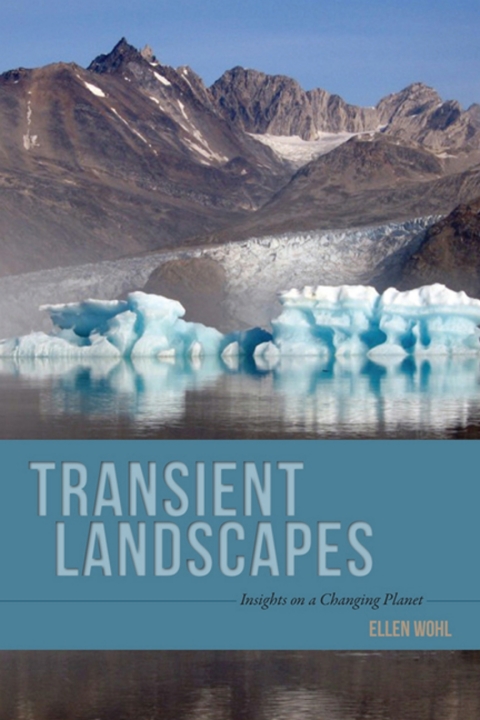 Cover image for book Transient Landscapes