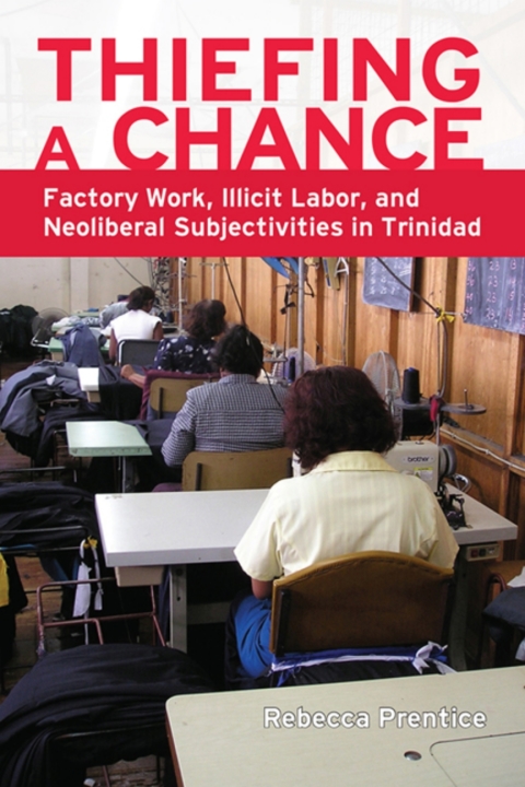 Cover image for book Thiefing a Chance