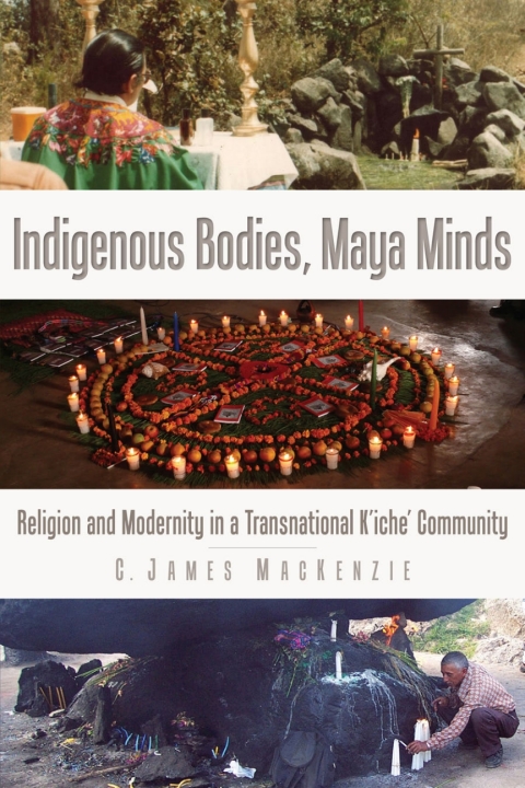 Cover image for book Indigenous Bodies, Maya Minds