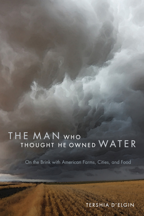 Cover image for book Man Who Thought He Owned Water