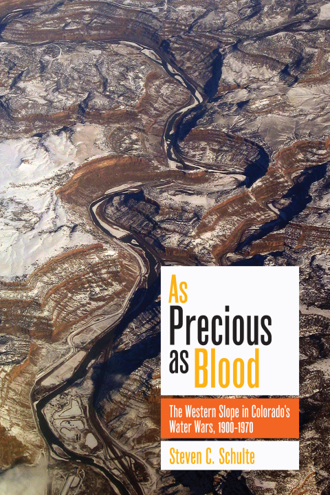 Cover image for book As Precious as Blood