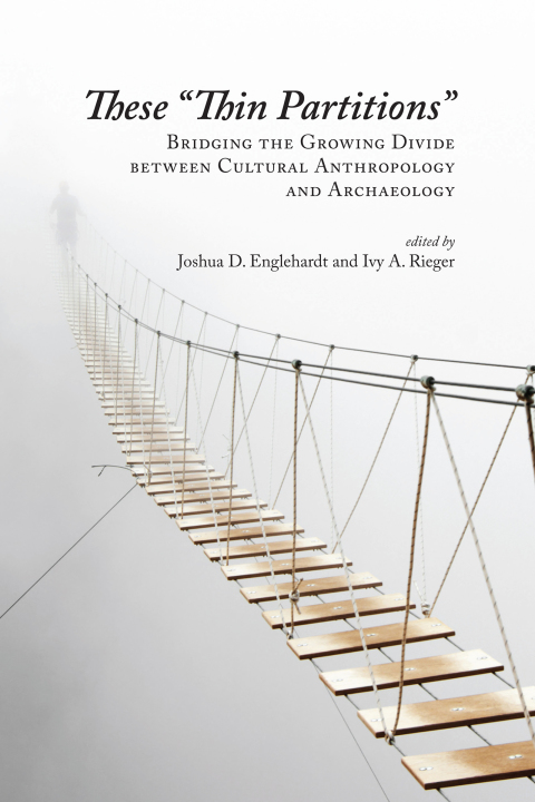 Cover image for book These "Thin Partitions"
