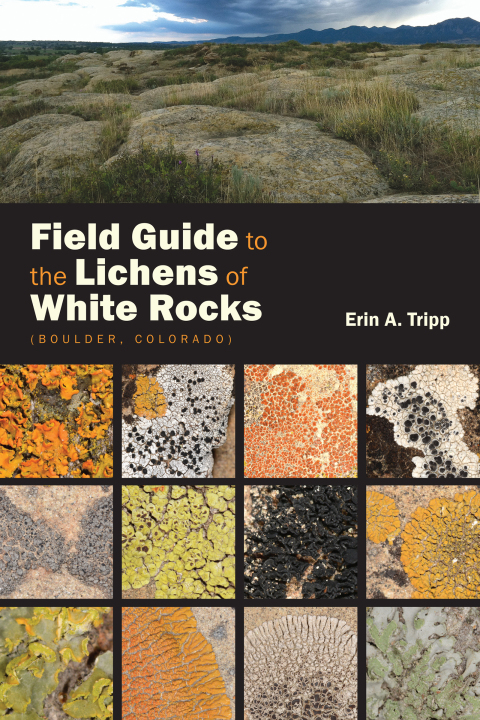 Cover image for book Field Guide to the Lichens of White Rocks