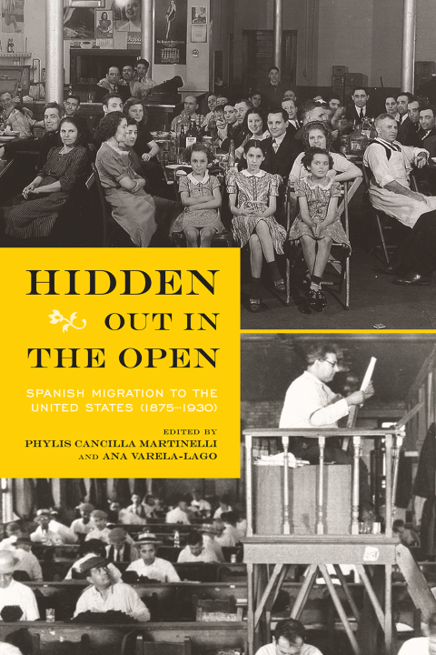 Cover image for book Hidden Out in the Open