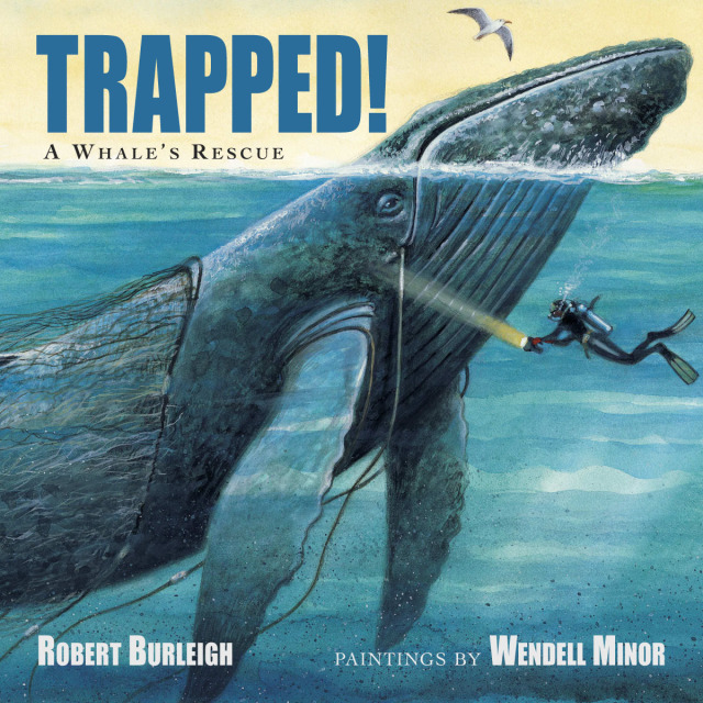 Trapped! A Whale's Rescue
