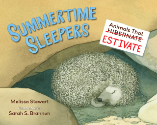 Summertime Sleepers