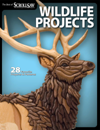 Cover image: Wildlife Projects 9781565235021