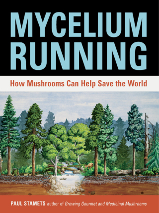 Mycelium Running