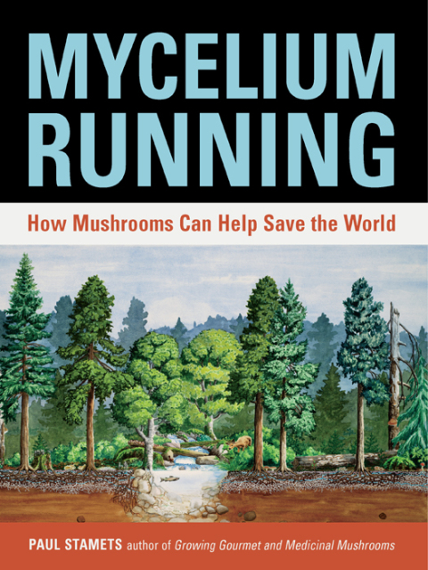 Cover image for book Mycelium Running