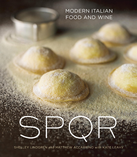 Cover image for book SPQR