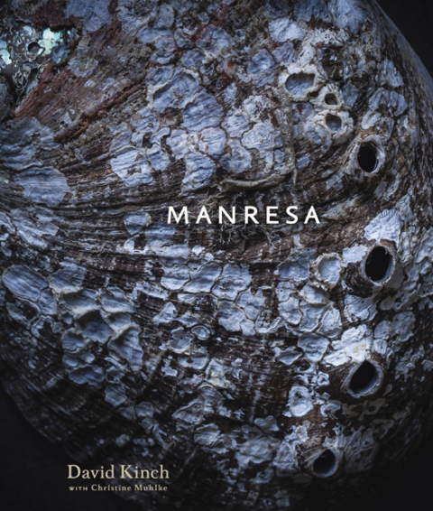Cover image for book Manresa