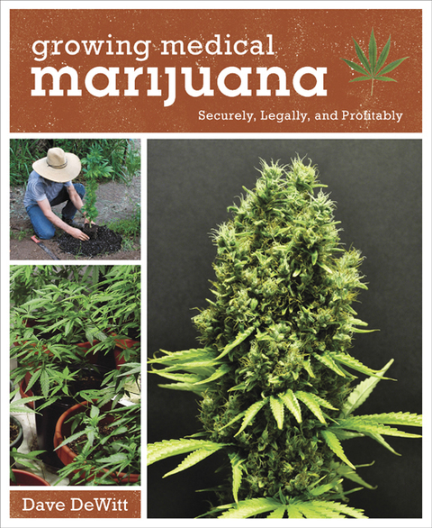 Cover image for book Growing Medical Marijuana