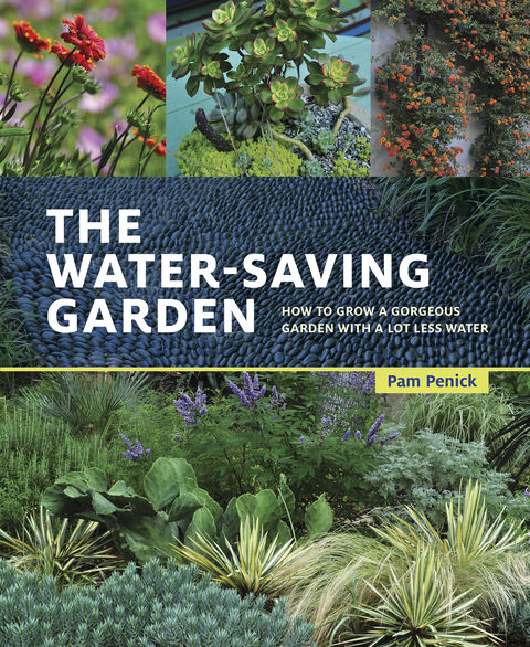 Cover image for book The Water-Saving Garden
