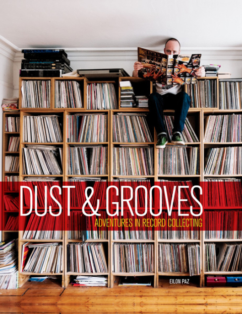 Cover image for book Dust & Grooves