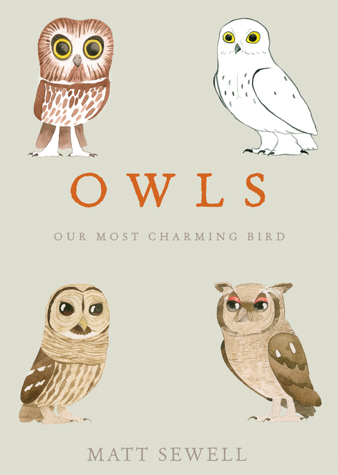 Cover image for book Owls