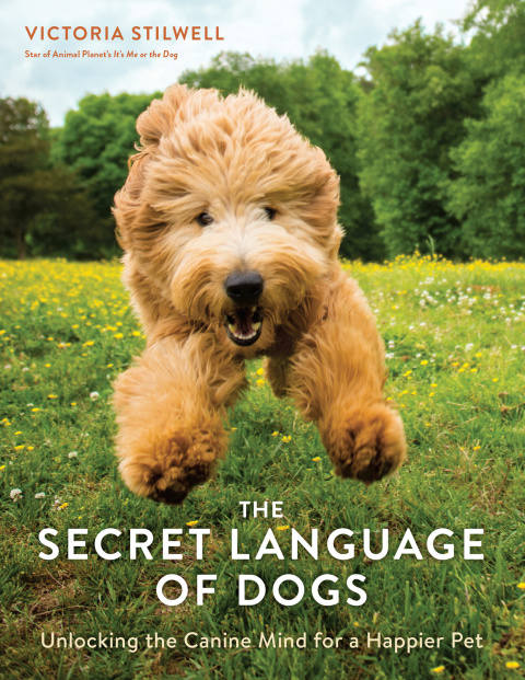 Cover image for book The Secret Language of Dogs