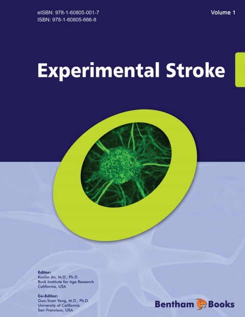 Cover image for book Experimental Stroke
