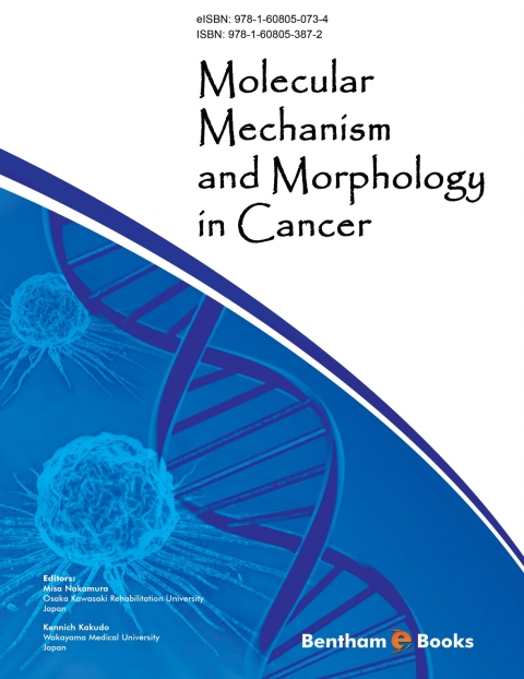 Cover image for book Molecular Mechanism and Morphology in Cancer