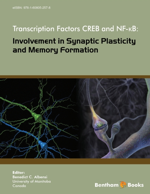 Cover image for book Transcription Factors CREB and NF-κB: Involvement in Synaptic Plasticity and Memory Formation