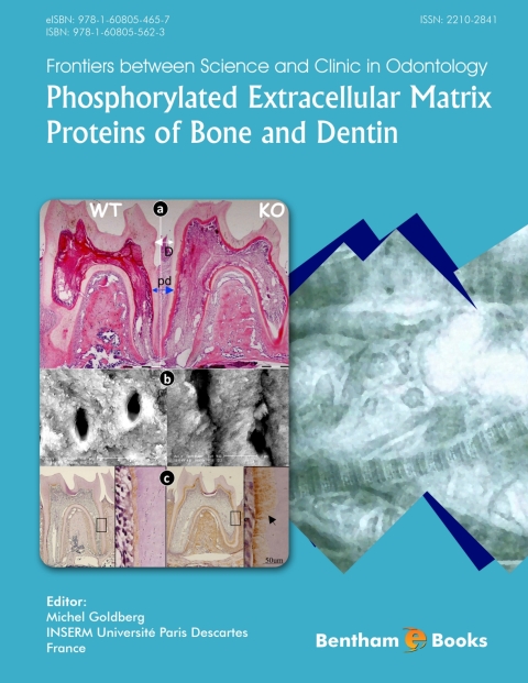 Cover image for book Phosphorylated Extracellular Matrix Proteins of Bone and Dentin