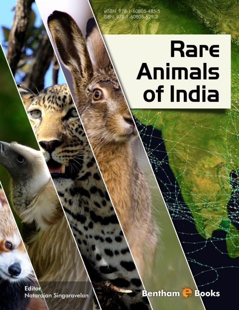 Cover image for book Rare Animals of India