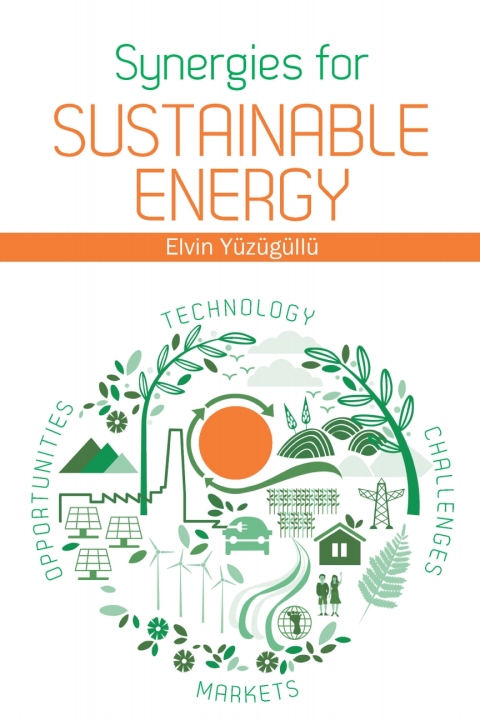 Cover image for book Synergies for Sustainable Energy