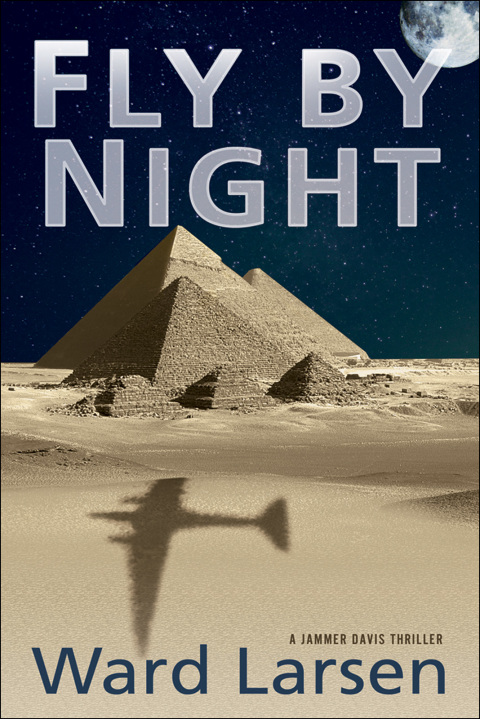 Cover image for book Fly by Night