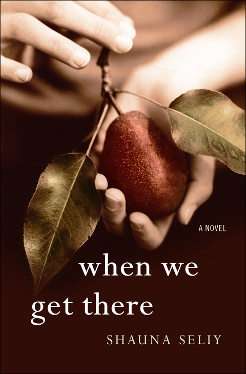 Cover image for book When We Get There