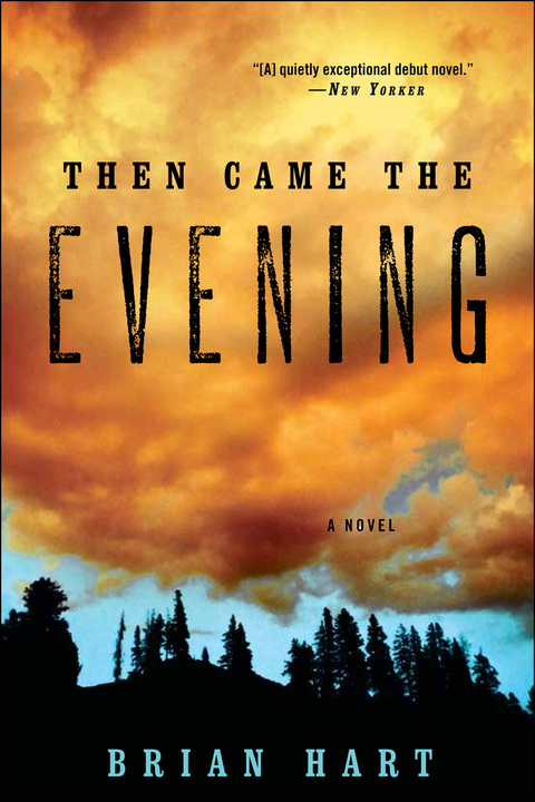 Cover image for book Then Came the Evening
