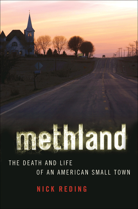 Cover image for book Methland
