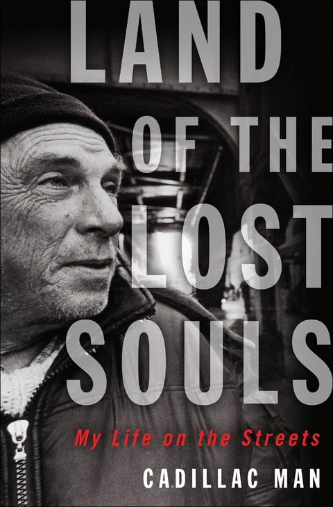 Cover image for book Land of the Lost Souls