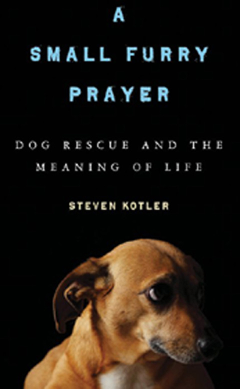 Cover image for book A Small Furry Prayer