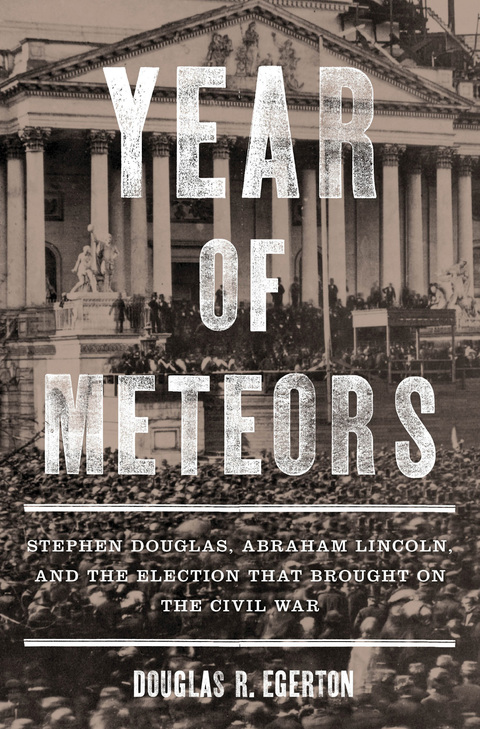Cover image for book Year of Meteors