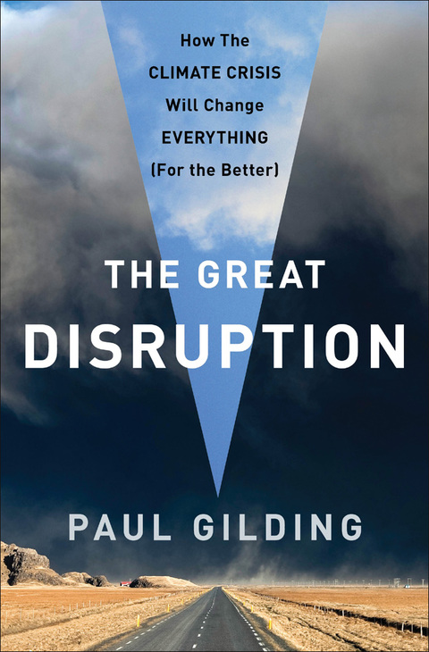 Cover image for book The Great Disruption
