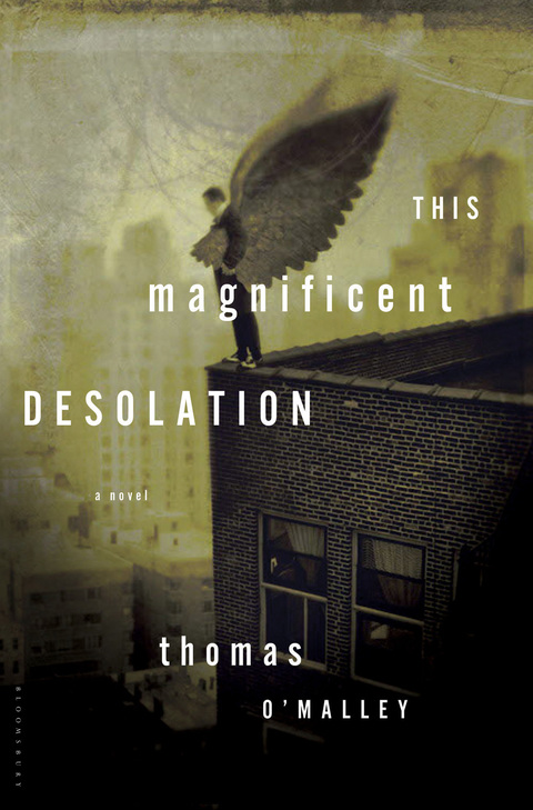 This Magnificent Desolation 