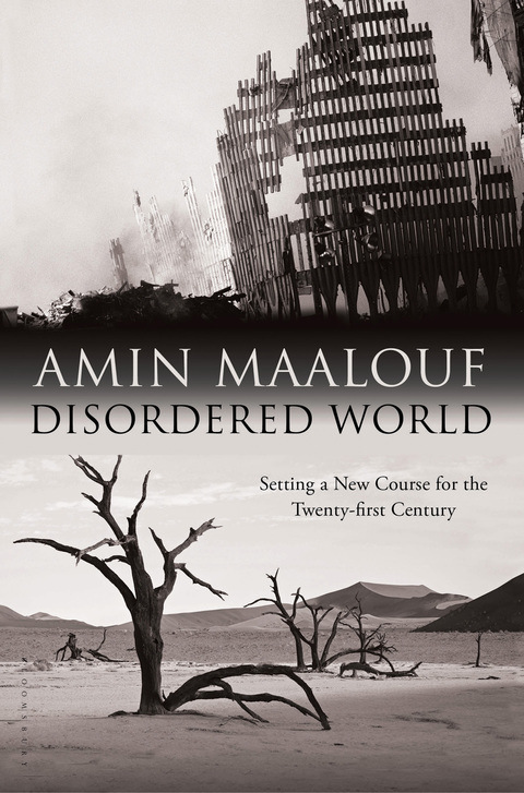 Cover image for book Disordered World