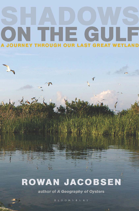 Cover image for book Shadows on the Gulf