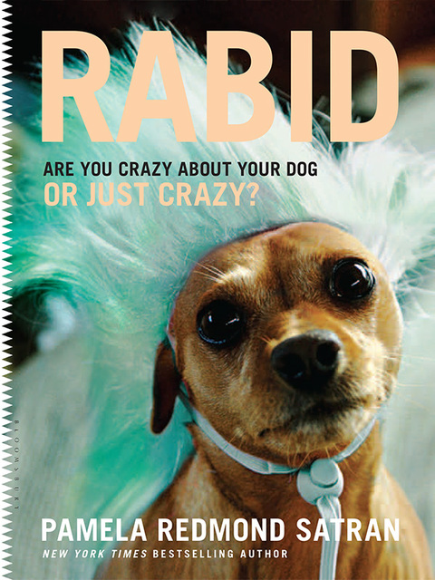 Cover image for book Rabid