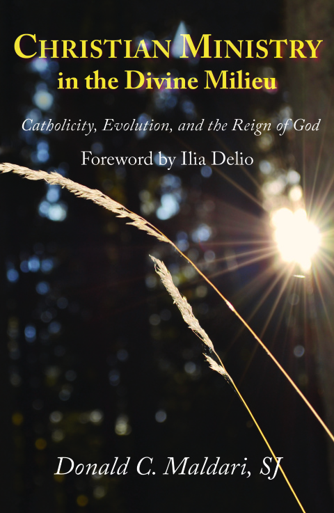 Cover image for book Christian Ministry in the Divine Milieu: Catholicity, Evolution, and the Reign of God