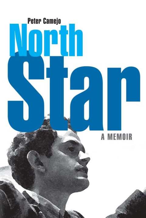 Cover image for book North Star