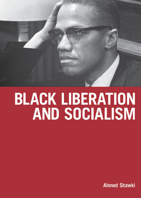 Cover image for book Black Liberation and Socialism