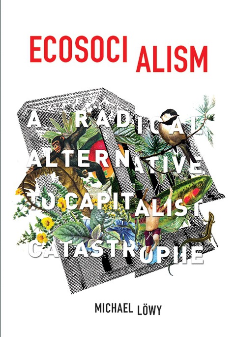 Cover image for book Ecosocialism