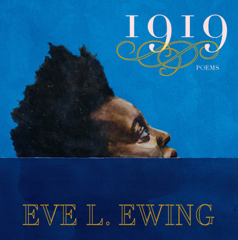 Cover image for book 1919