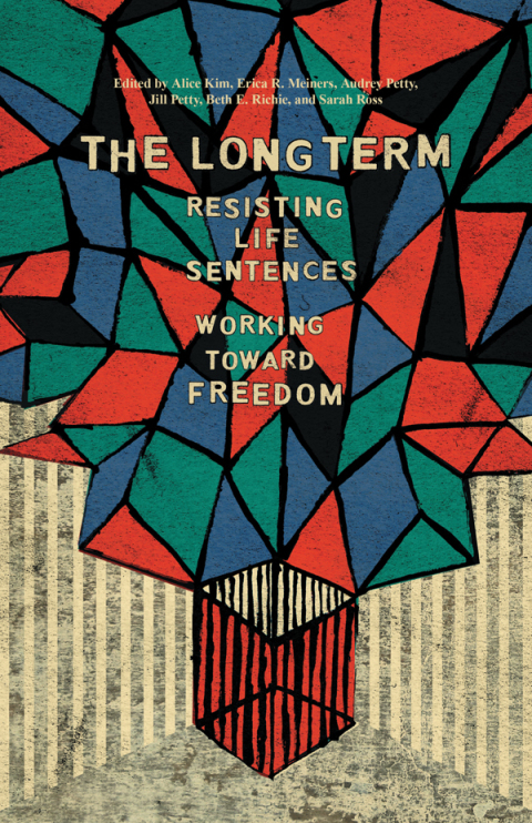 Cover image for book The Long Term