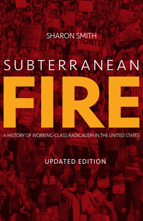 Cover image for book Subterranean Fire