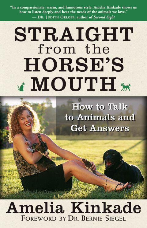 Cover image for book Straight from the Horse's Mouth