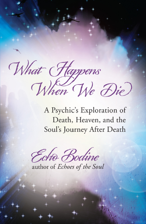 Cover image for book What Happens When We Die